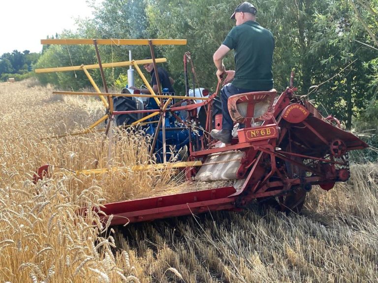 2022 Binder Day for Threshing Display The Vale of Belvoir Machinery Group
